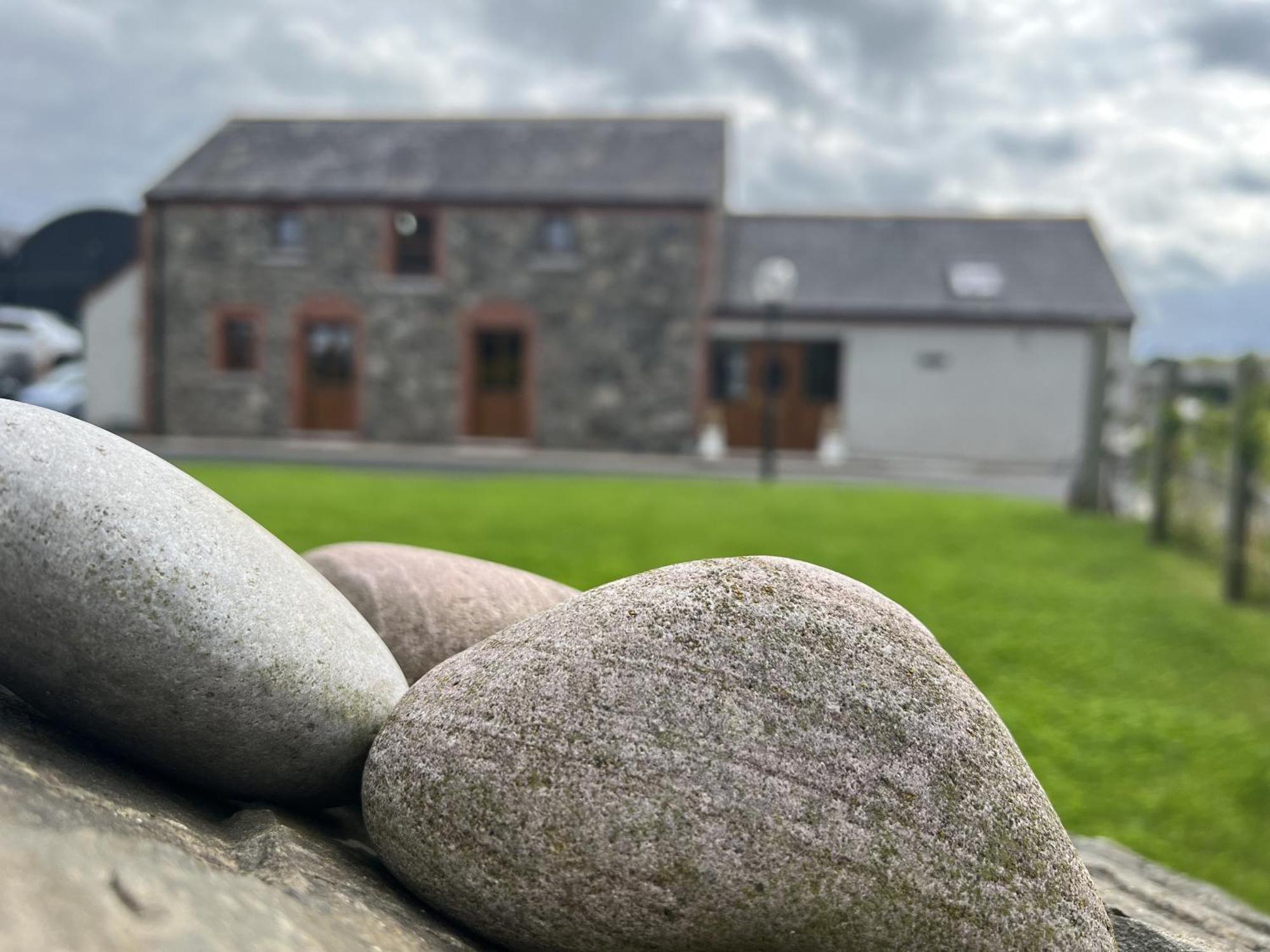 Avoca Lodge Lisburn Exteriör bild