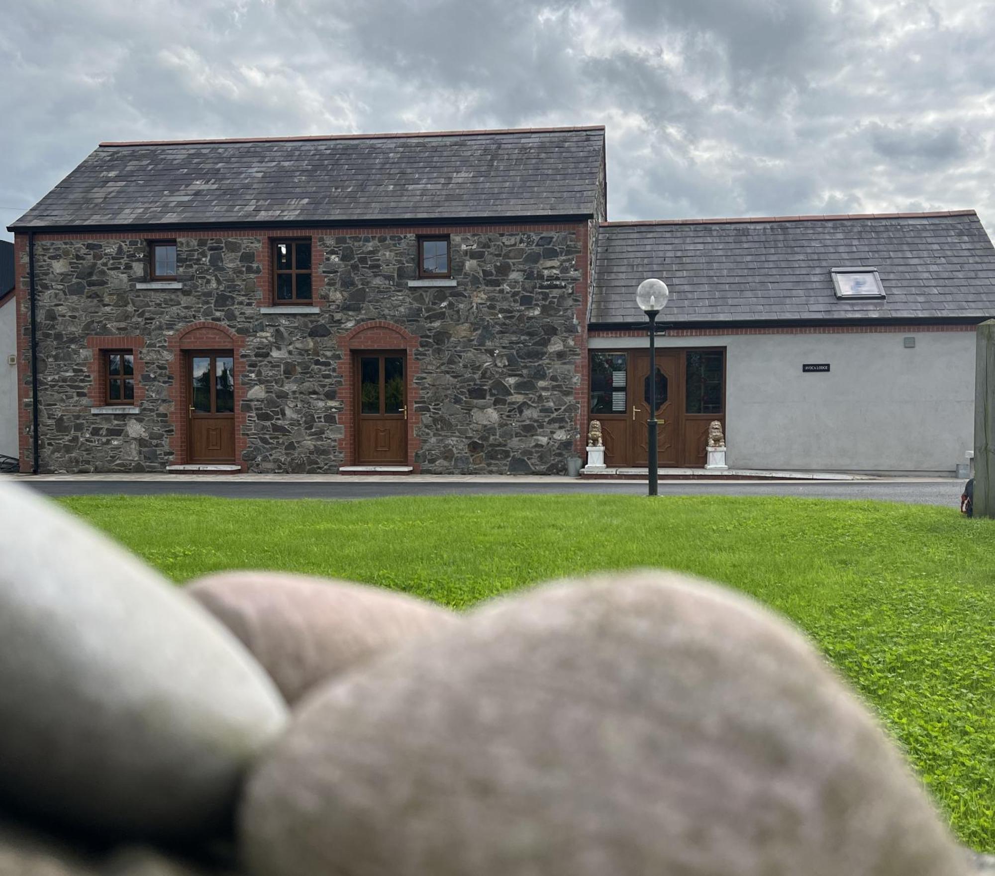 Avoca Lodge Lisburn Exteriör bild